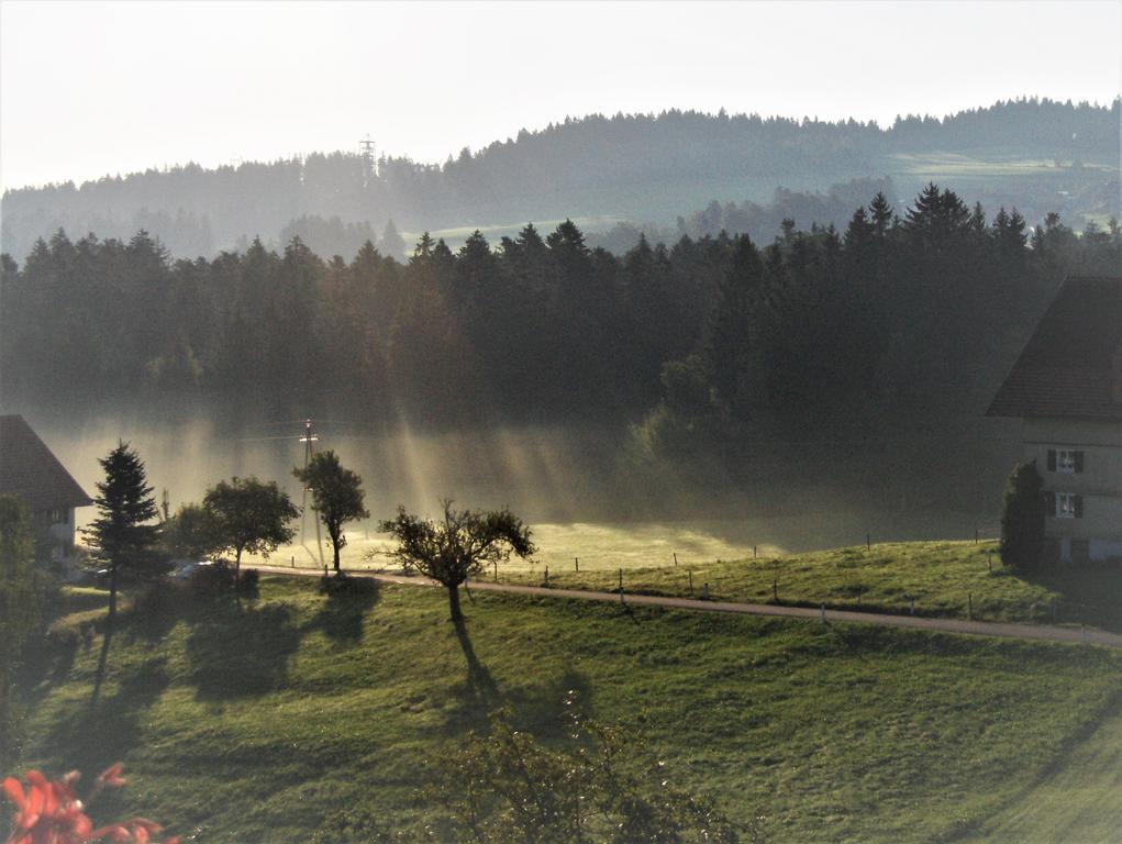 Bio-Bauernhof Heidegger Villa Möggers Exteriör bild