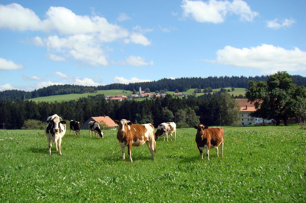 Bio-Bauernhof Heidegger Villa Möggers Exteriör bild