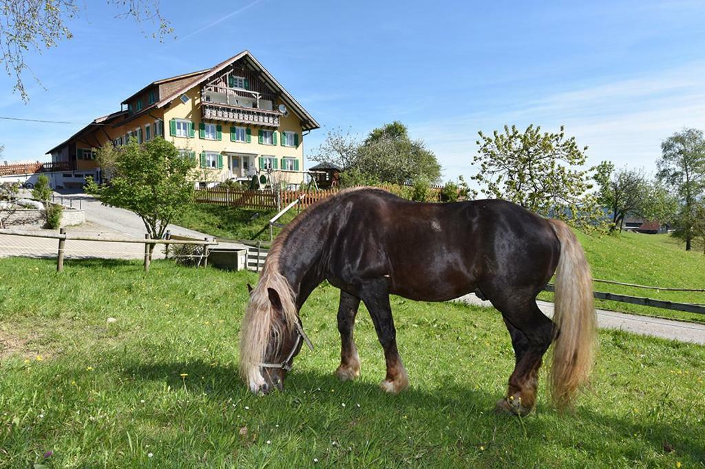 Bio-Bauernhof Heidegger Villa Möggers Exteriör bild